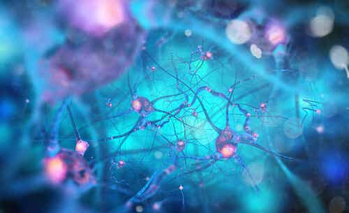 Fonctionnement des neurosciences de l'imagination.