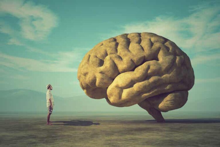 Pourquoi votre cerveau est-il programmé pour se concentrer sur le négatif ?