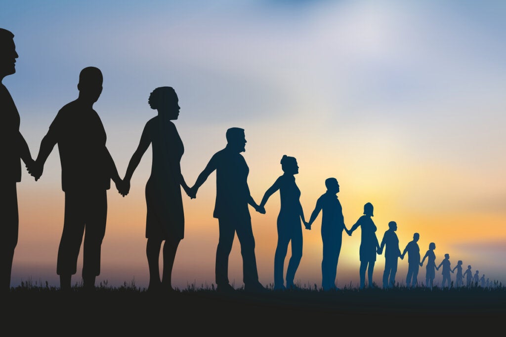 Quelle est la différence entre équité et égalité ?