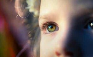 Qu'est-ce qu'un traumatisme développemental ?