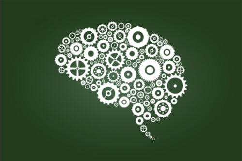 Les processus d'adaptation : assimilation et accommodation