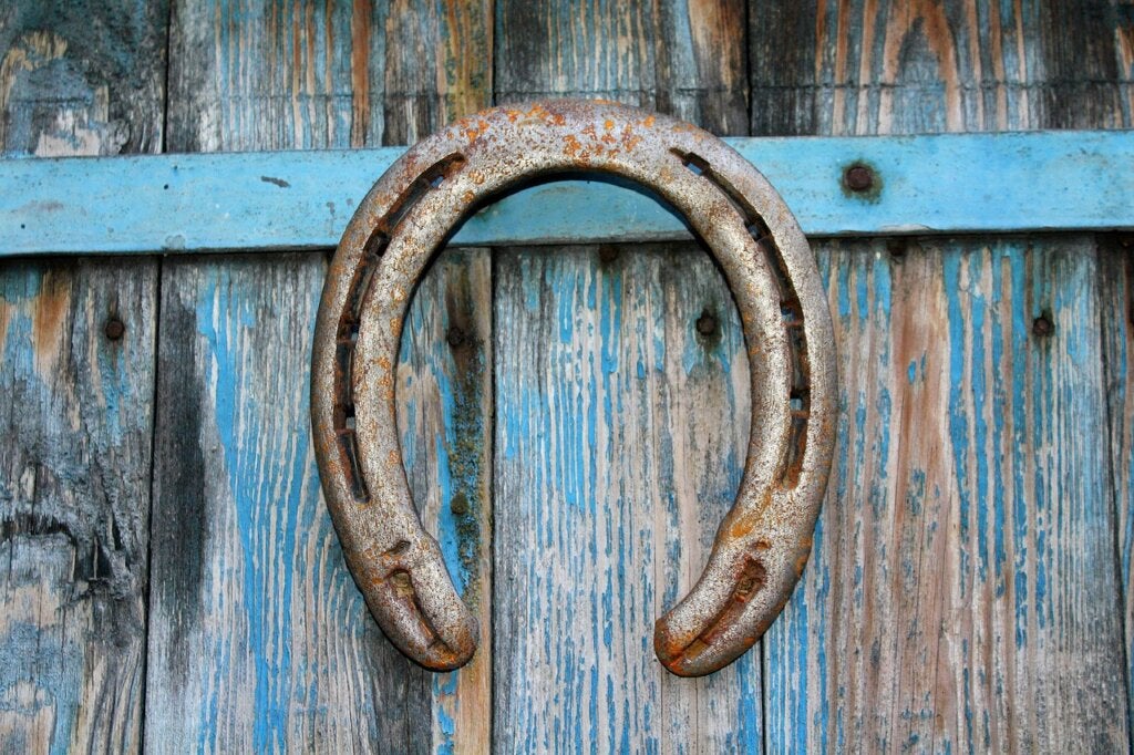 La théorie du fer à cheval : en quoi consiste-t-elle ?