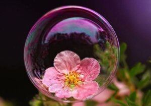 Les enfants "bulles" et les dangers de la surprotection