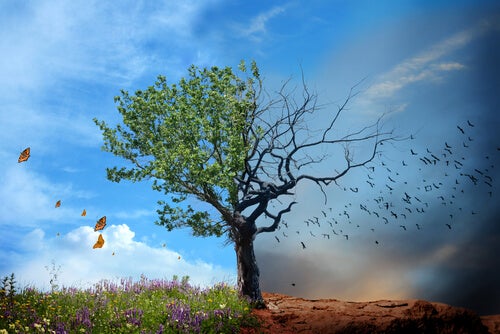 La santé environnementale, pourquoi est-ce important ?