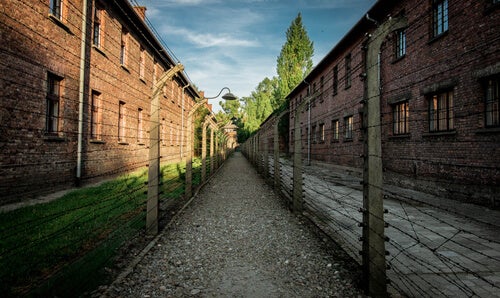 Une fantastique histoire d'amour à Auschwitz