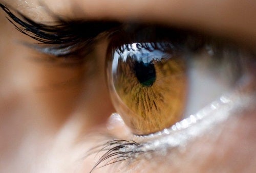 Que transmet la couleur de nos yeux ?