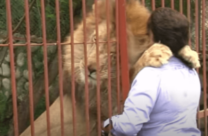 Ana Julia Torres, soeur des animaux