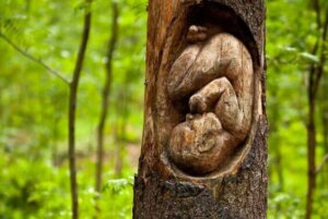 4 choses que nous apprenons avant de naître