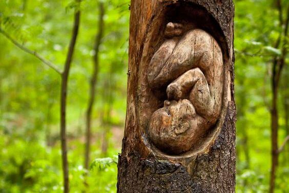 4 choses que nous apprenons avant de naître