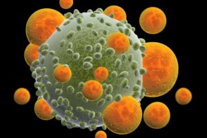 Cellules tueuses naturelles (NK) : ce qu'elles sont et leurs fonctions