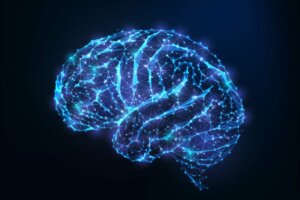 Circuit anti-récompense du cerveau : qu'est-ce que c'est ?