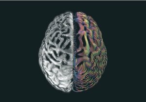 Les découvertes surprenantes chez des personnes qui n'ont qu'un demi-cerveau