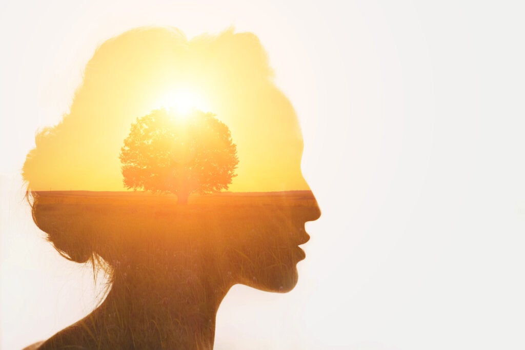 La cognition est-elle saisonnière ?