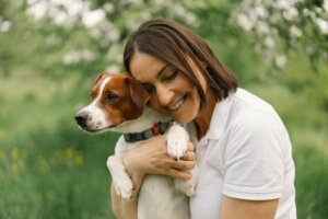 Rêver de chiens : qu'est-ce que cela signifie ?