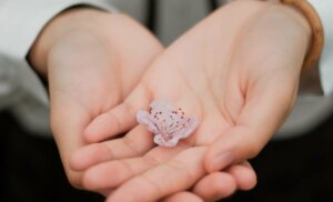 Comment s'excuser : 6 étapes essentielles