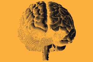 La neuropsychanalyse, un nouveau paradigme