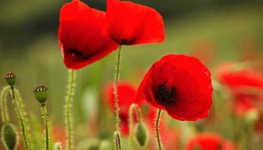 Le syndrome d'exposition élevée au travail, une réalité très courante