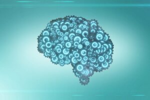 Comment fonctionne le cerveau humain ?