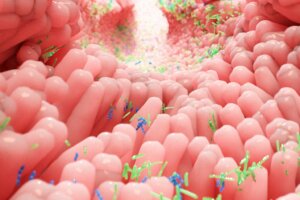 Microbiote, stress et anxiété : qu'ont-ils en commun ?