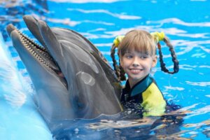 La thérapie par les dauphins : qu'est-ce que c'est et comment peut-elle aider ?