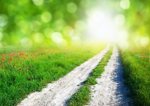 3 instincts qui ne manquent généralement pas