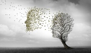 Différences entre la maladie d'Alzheimer et la démence