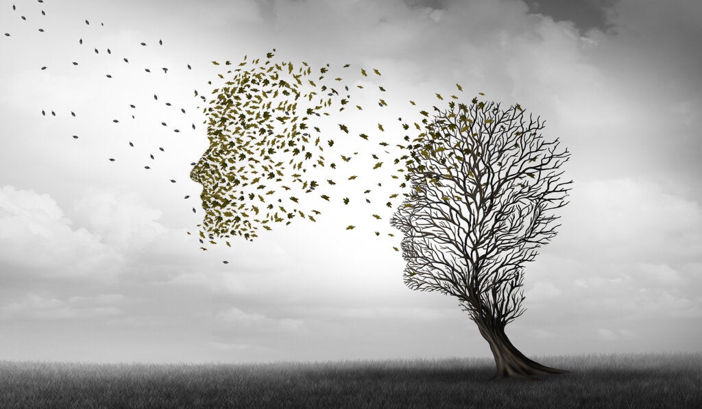 Différences entre la maladie d'Alzheimer et la démence