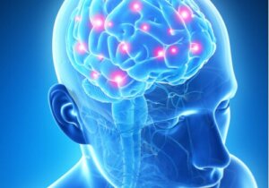 Des puces de mémoire pour votre cerveau, de la science-fiction ?