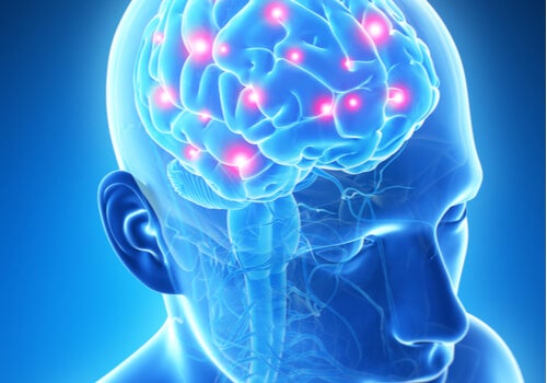 Des puces de mémoire pour votre cerveau, de la science-fiction ?