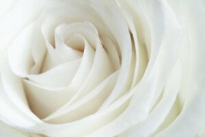 Que signifie la couleur blanche en psychologie ?