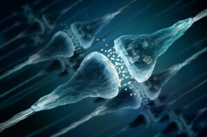 Différences entre hormones et neurotransmetteurs