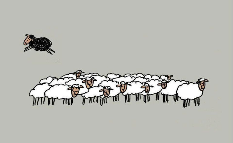Le mouton noir n'est pas mauvais : il est juste différent