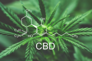 Quelles sont les dernières connaissances sur le cannabidiol (CBD)
