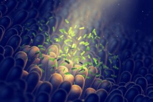 Microbiote et dépression : comment sont-ils liés ?