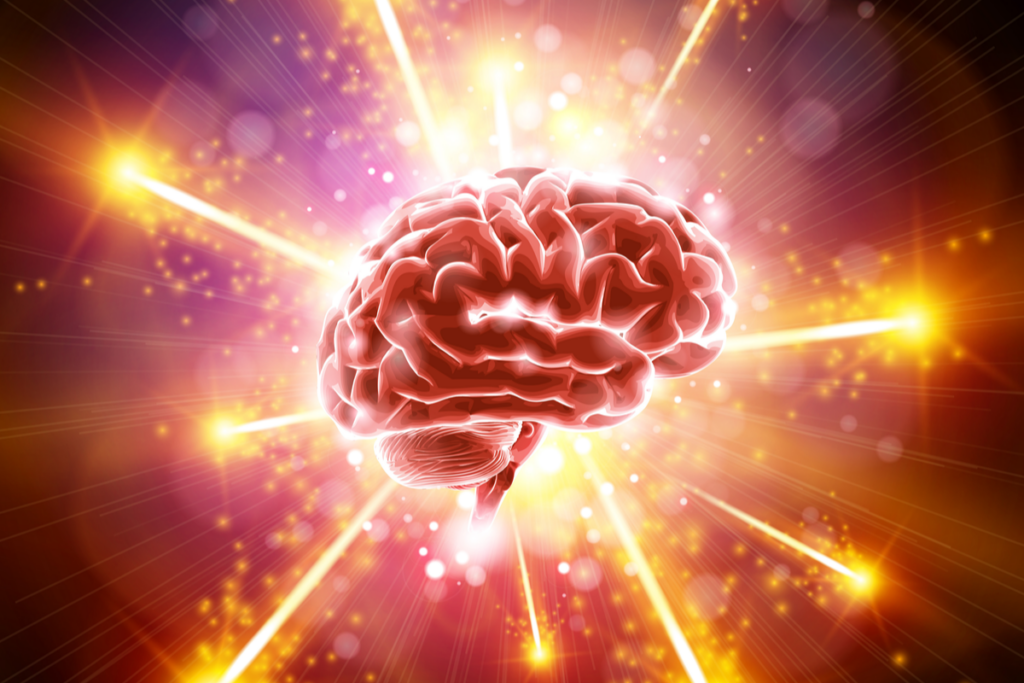 L'intéressante hypothèse de l'exo cerveau : une autre façon de regarder la conscience