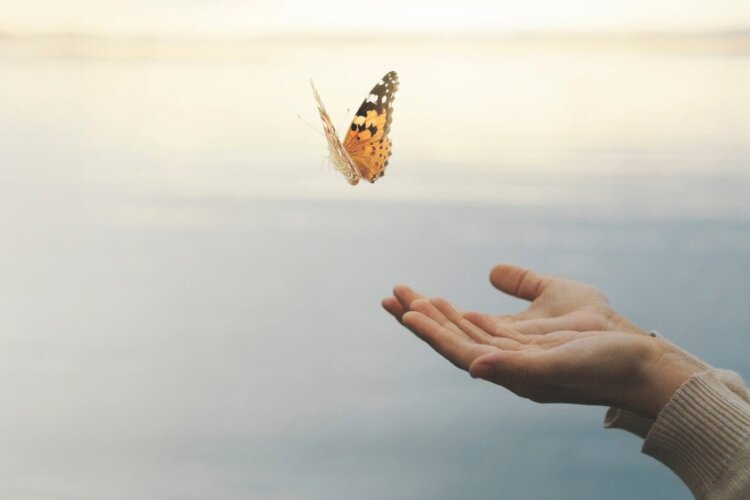 Citations inspirantes sur le courage