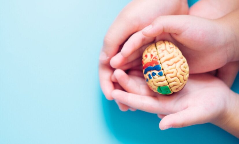 La conception universelle de l'apprentissage : des opportunités pour tous