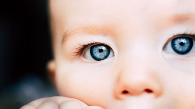 Constance perceptive chez les bébés : ce qu'ils voient et pas nous