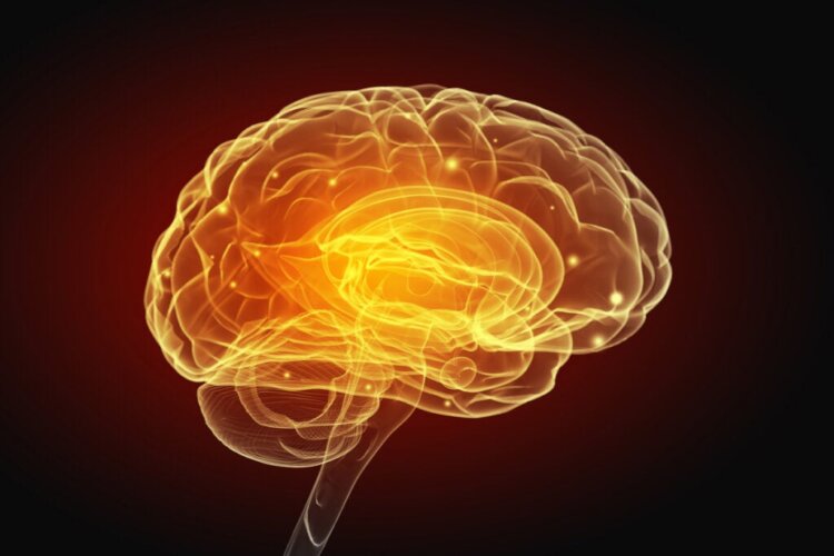 Schizophrénie et troubles vasculaires du cerveau