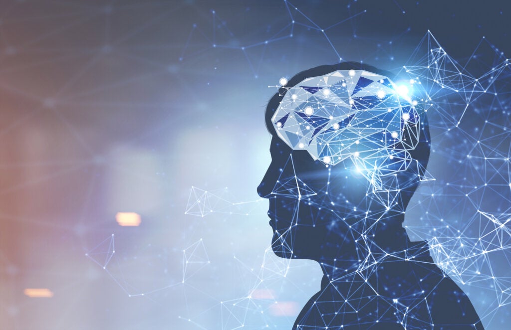 David Eagleman, biographie d'un expert du cerveau