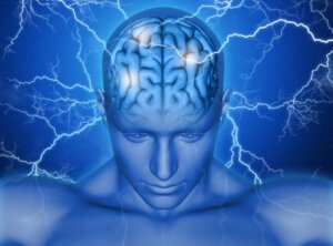 Aire motrice supplémentaire : fonctions et modifications