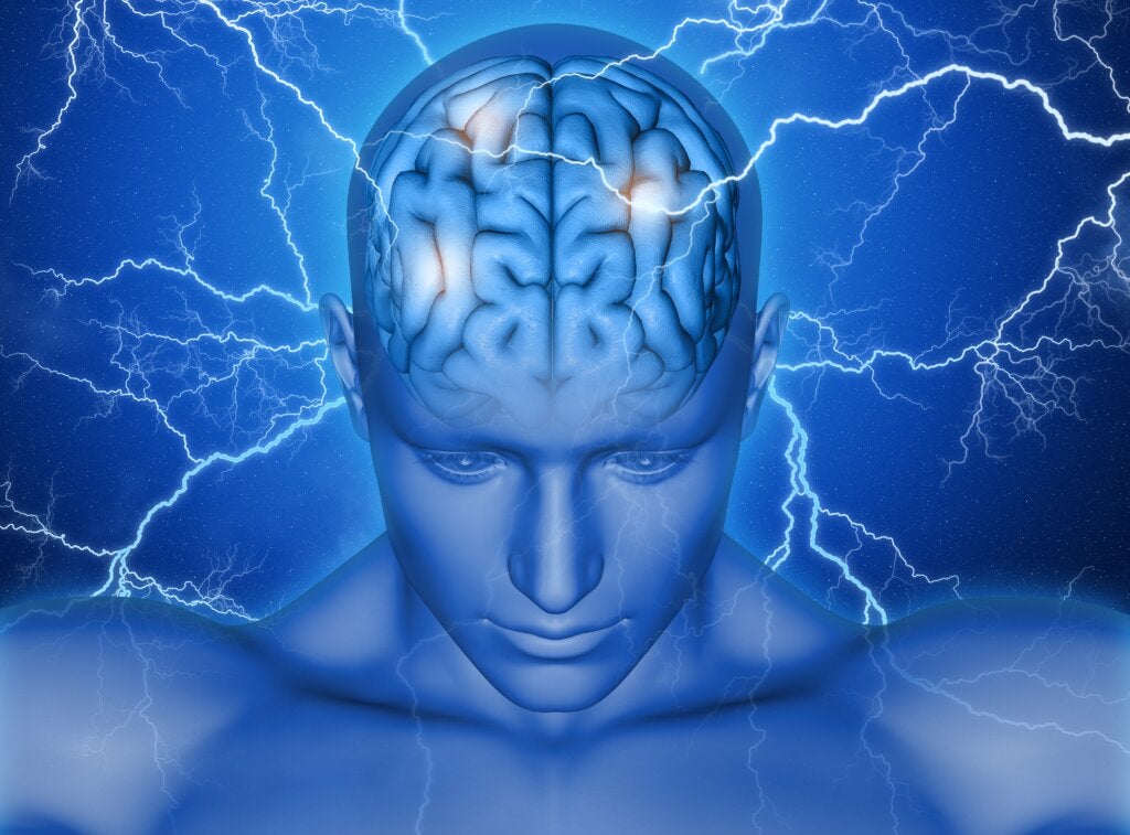 Aire motrice supplémentaire : fonctions et modifications