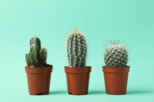 Comment gérer une famille toxique ?