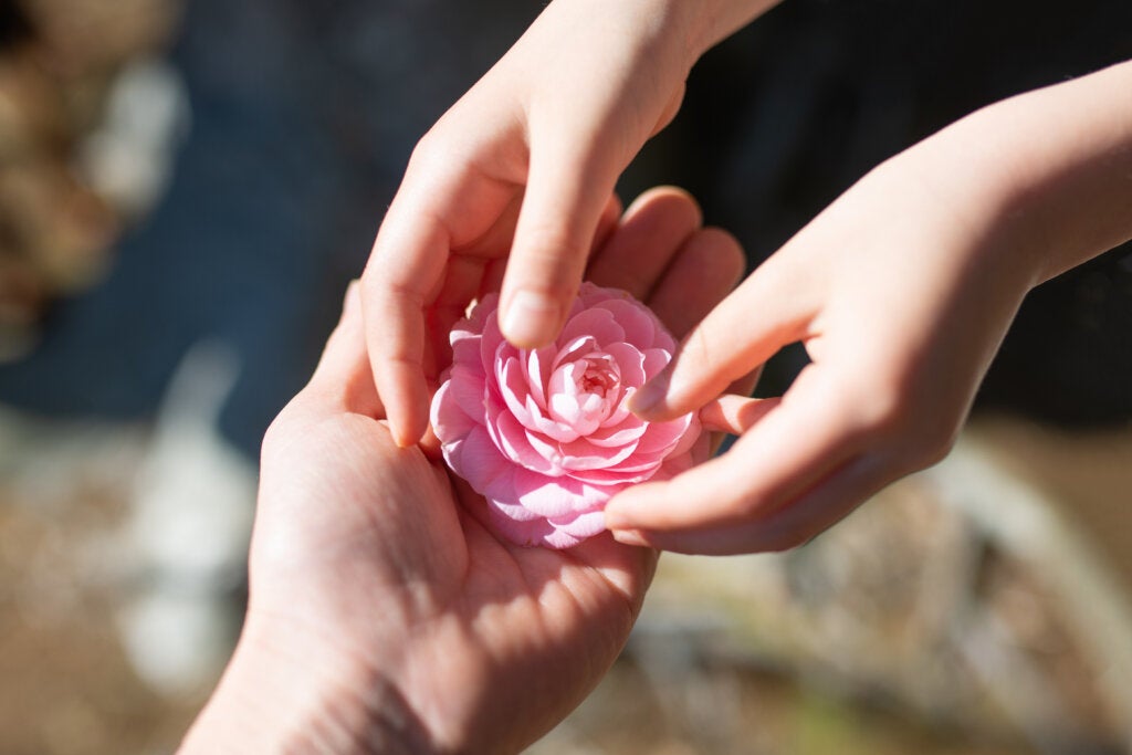 Comment pratiquer la gratitude lorsque vous êtes déprimé : façons de le faire