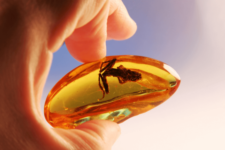 Signification psychologique de la couleur ambre