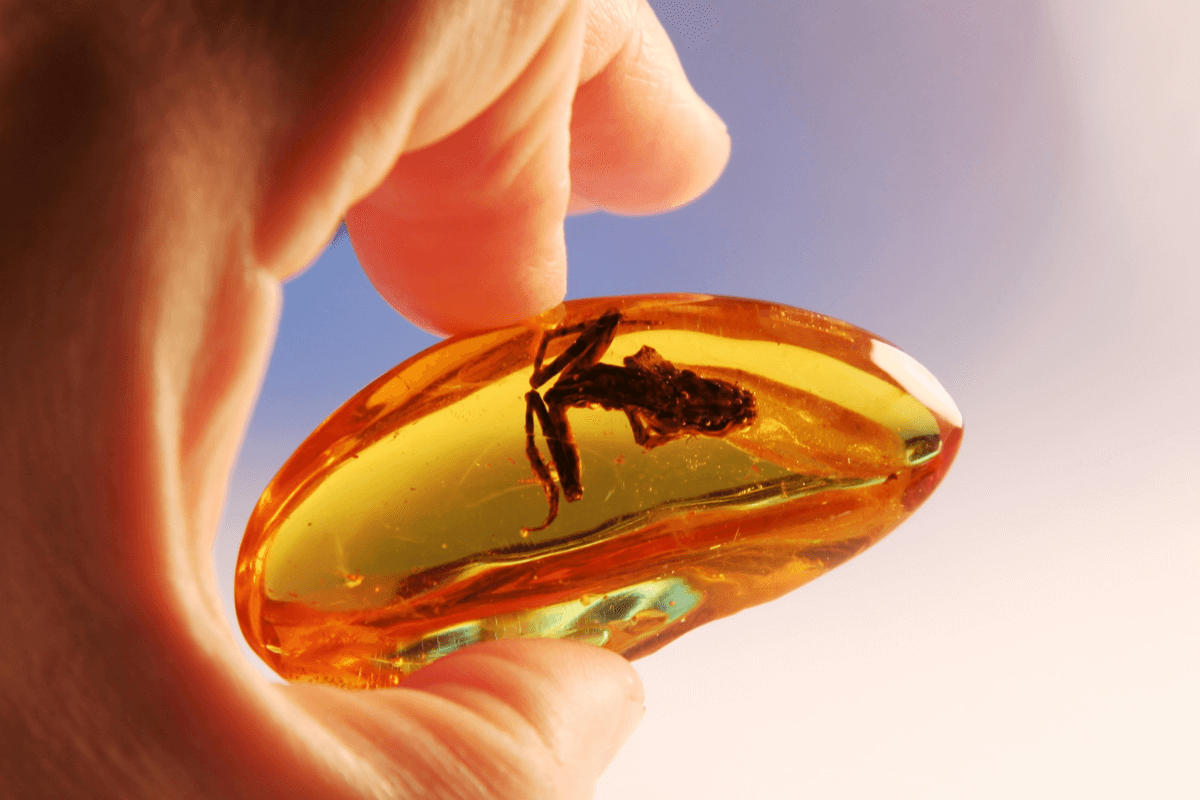 Signification psychologique de la couleur ambre