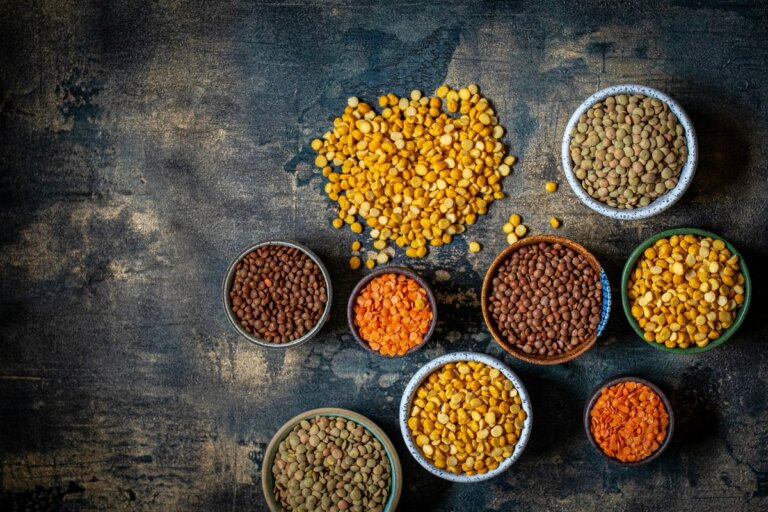 Protéines végétales et bien-être : comment l’alimentation peut influencer l’humeur